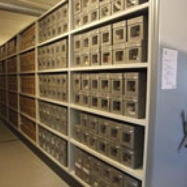 De têtes maories en crânes algériens 