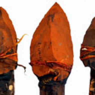 Le manche du couteau