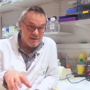Voir la vidéo de Robert Ménard et le paludisme