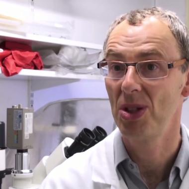 Voir la vidéo de La maladie du sommeil | Philippe Bastin