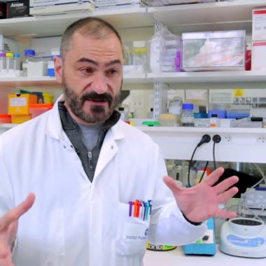 Voir la vidéo de Le virus Ebola | Jean-Claude Manuguerra