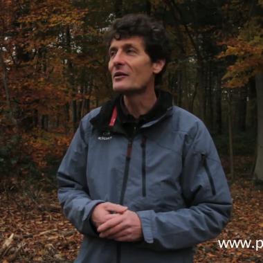 Voir la vidéo de Le bois de Vincennes