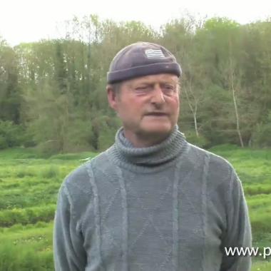 Voir la vidéo de Une cressonnière bio