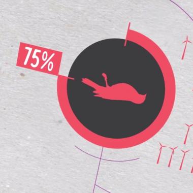« Les éoliennes sont responsables de la surmortalité des oiseaux »