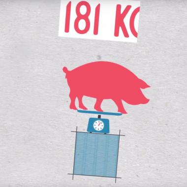 Voir la vidéo de « La Terre ne pourra pas nourrir 9 milliards d’habitants en 2050 » ?