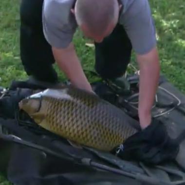 Voir la vidéo de Mangeons les carpes