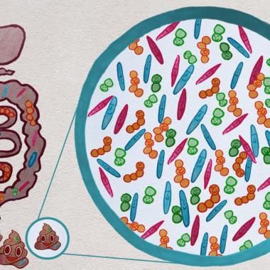 Voir la vidéo de Le stress du microbiote