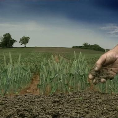 Voir la vidéo de Agriculture