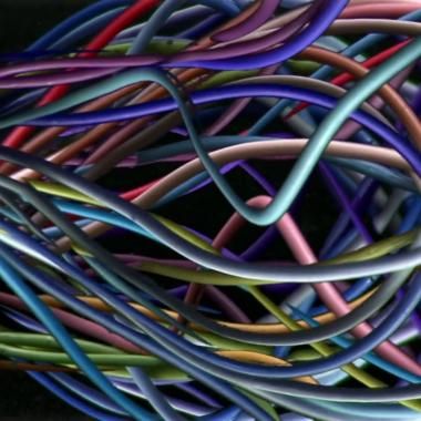 Voir la vidéo de Des neurones de toutes les couleurs