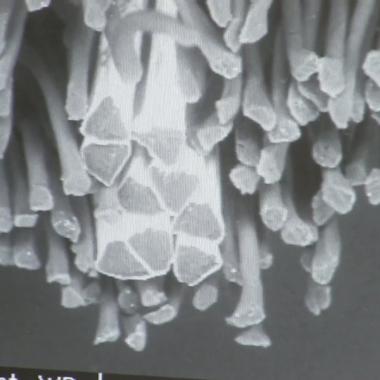 Voir la vidéo de L'intelligence textile