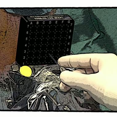 Voir la vidéo de La fibre guérisseuse