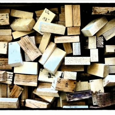 Voir la vidéo de Le bois dure