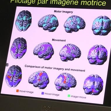 Voir la vidéo de Le cerveau connecté
