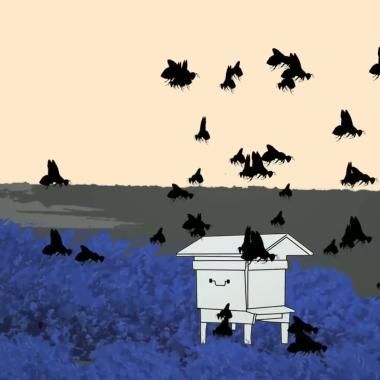 Voir la vidéo de L'étrange silence des abeilles