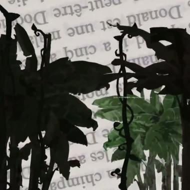 Voir la vidéo de Mémoires de la jungle
