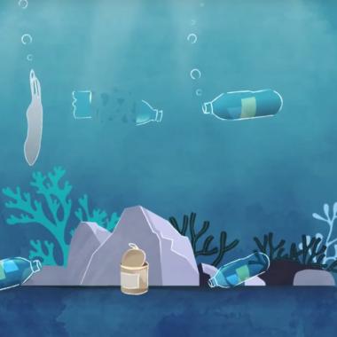 Voir la vidéo de Alerte au plastique dans les océans