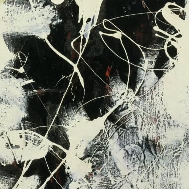 Voir la vidéo de Pollock et les vertèbres