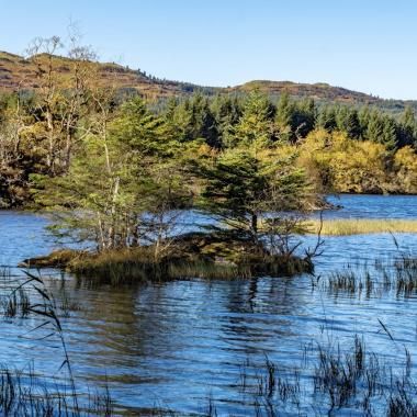 Crannog