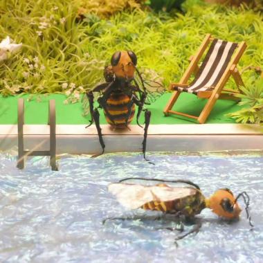Voir la vidéo de Holiday bee
