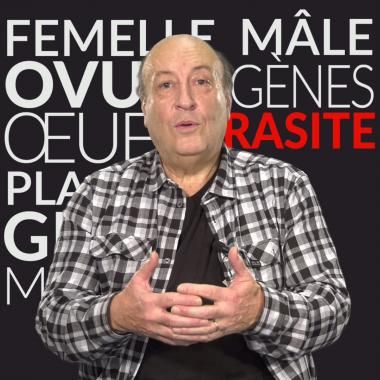 Voir la vidéo de Pourquoi le sexe ?