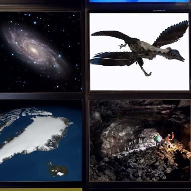 Voir la vidéo de Archéoptéryx vole !