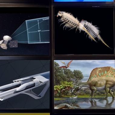 Voir la vidéo de Le régime des dinosaures