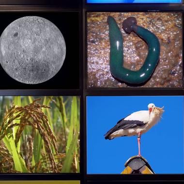 Voir la vidéo de La Lune visée par la Chine