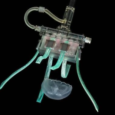 Voir la vidéo de Un robot « attrape-méduses »