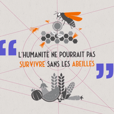 Voir la vidéo de « L’humanité ne pourrait pas survivre sans les abeilles !? »