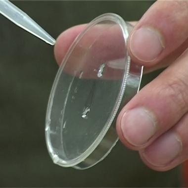 Voir la vidéo de José Bico, de l&#039;eau qui colle