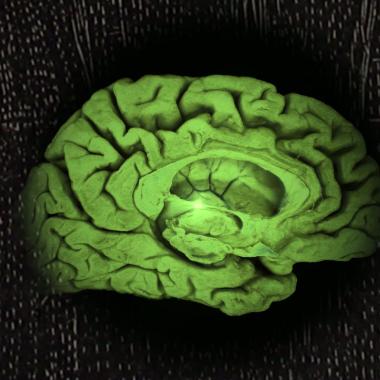 See video of Alzheimer, the memory engulfed