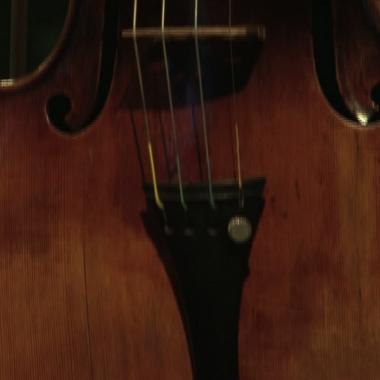 Voir la vidéo de Le mystère Stradivarius et grand ménage à l'aquarium