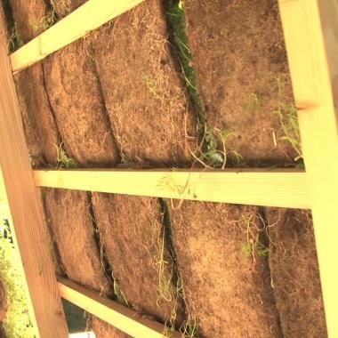Voir la vidéo de Ateliers de la biodiversité