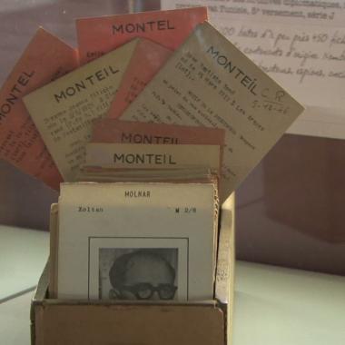 Voir la vidéo de Photographie et identification