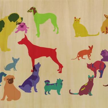 Les films de &quot;Chiens &amp; chats, l&#039;expo&quot;