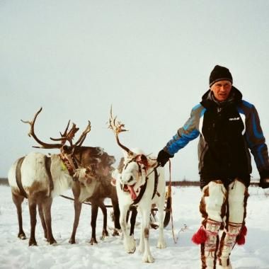Voir la vidéo de Après la vache folle, menace sur les cervidés