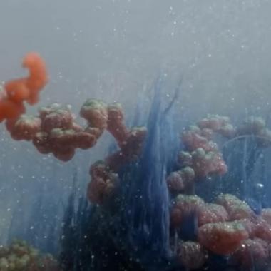 Anthropocene
