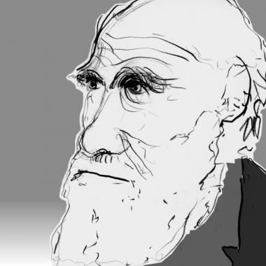 illustration darwin