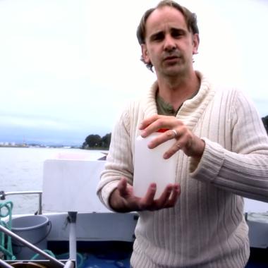 Voir la vidéo de Nicolas Susperregui, biologiste marin