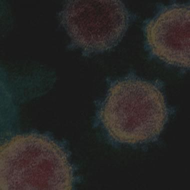 illustration coronavirus