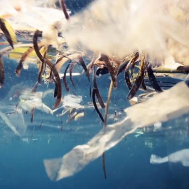 Voir la vidéo de Pollution plastique des océans : Tara remonte à la source