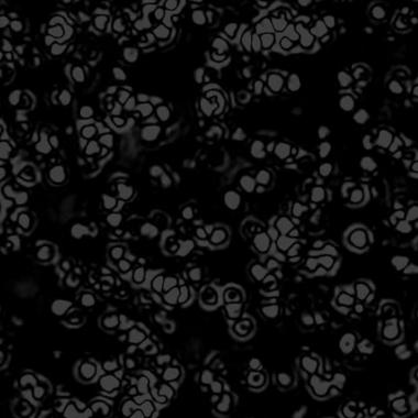illustration focus virus