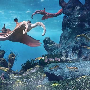 Voir la vidéo de Des parasites vieux de 512 millions d’années