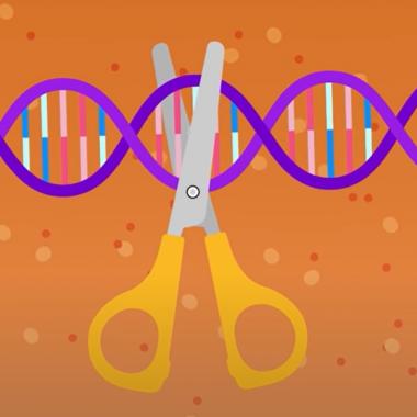 Voir la vidéo de Pourquoi Crispr révolutionne la manipulation génétique