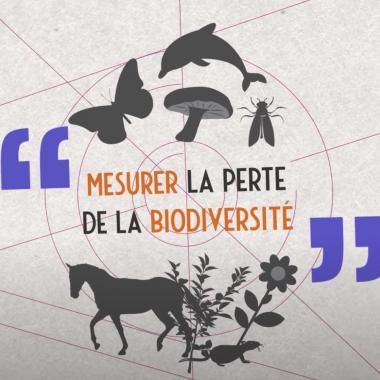 See video of Mesurer la perte de la biodiversité