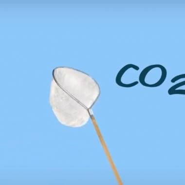 See video of Vive le CO₂