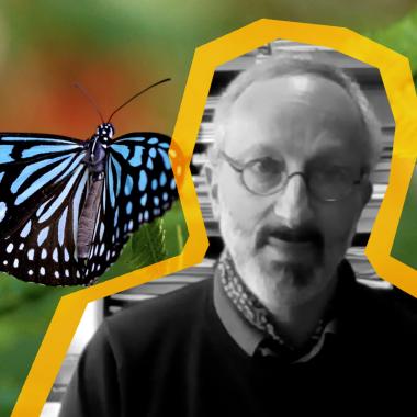Voir la vidéo de 3 questions sur la (dé)mesure du déclin des insectes 