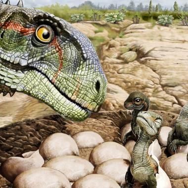 Voir la vidéo de Des bébés dinosaures en bande organisée