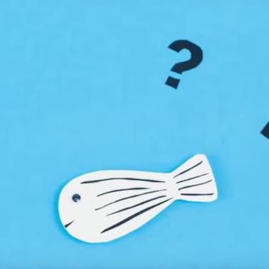 Voir la vidéo de Le sommeil et un poisson, quel est le rapport ?