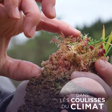 _en_see_video_of #5 Tourbières : pièges à carbone 